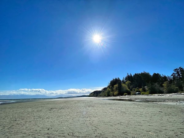 Witty's Beach