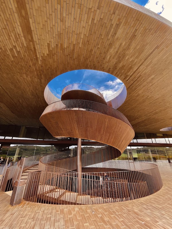 Antinori nel Chianti Classico 3