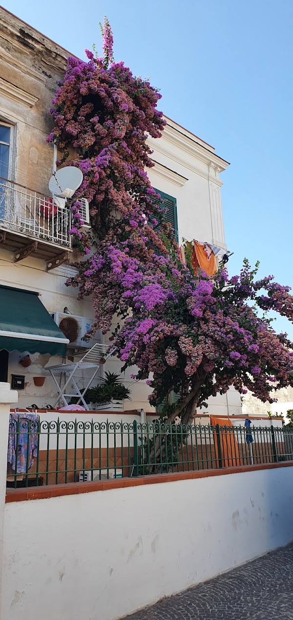 Ischia 4