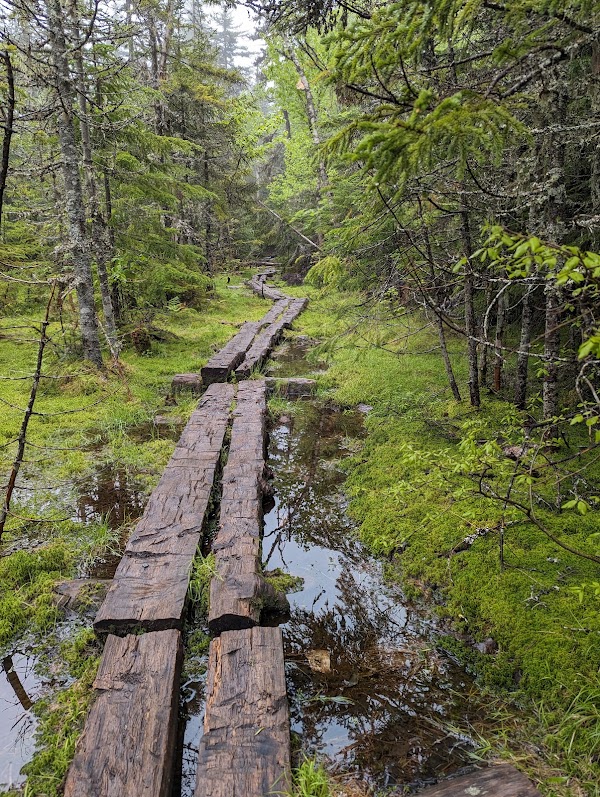 Carter-Moriah Trailhead (Bangor Street) 2