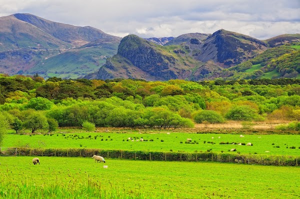 Wales 3