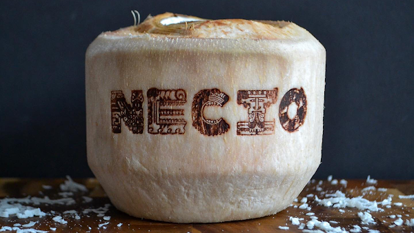 Necio Mexican Kitchen 5