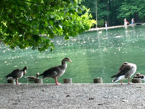Stempflesee 4