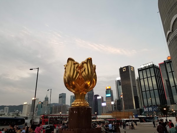 Golden Bauhinia Square 5
