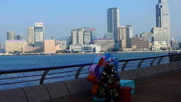 Golden Bauhinia Square 2