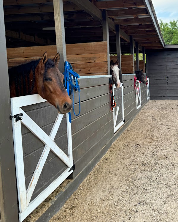 GACAVI Farm 1
