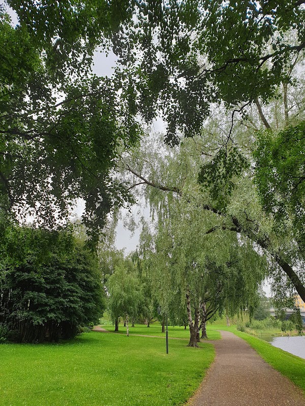Linnansaari 5