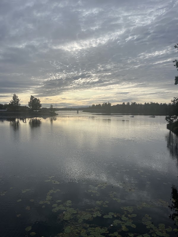 Linnansaari 4