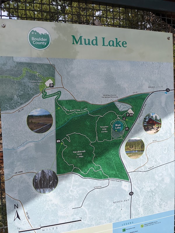 Mud Lake