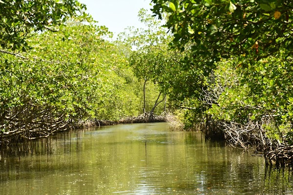 Parque Nacional Los Haitises