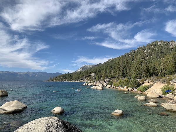 Whale Beach