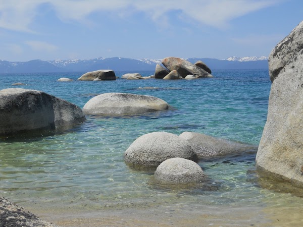 Whale Beach 5