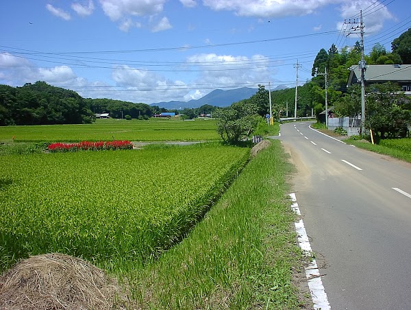Tochigi 1
