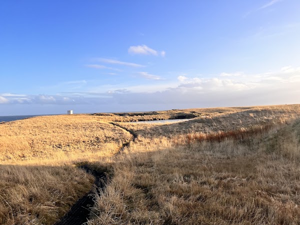 Arnarstapi Cliff Viewpoint 2