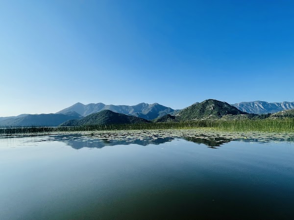 Shkodra Lake 5