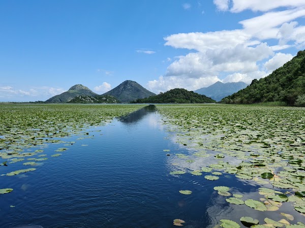 Shkodra Lake 4
