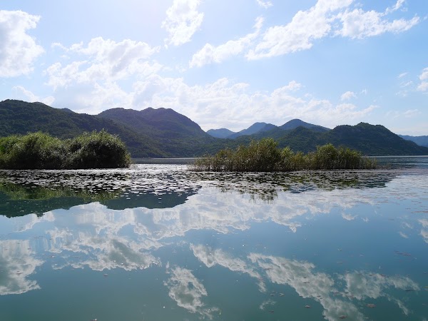 Shkodra Lake 3