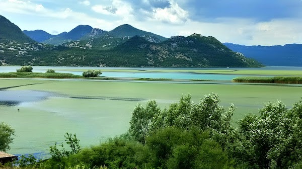 Shkodra Lake 2
