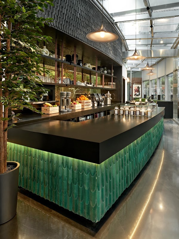 Twisted Olive & Naama’s Garden