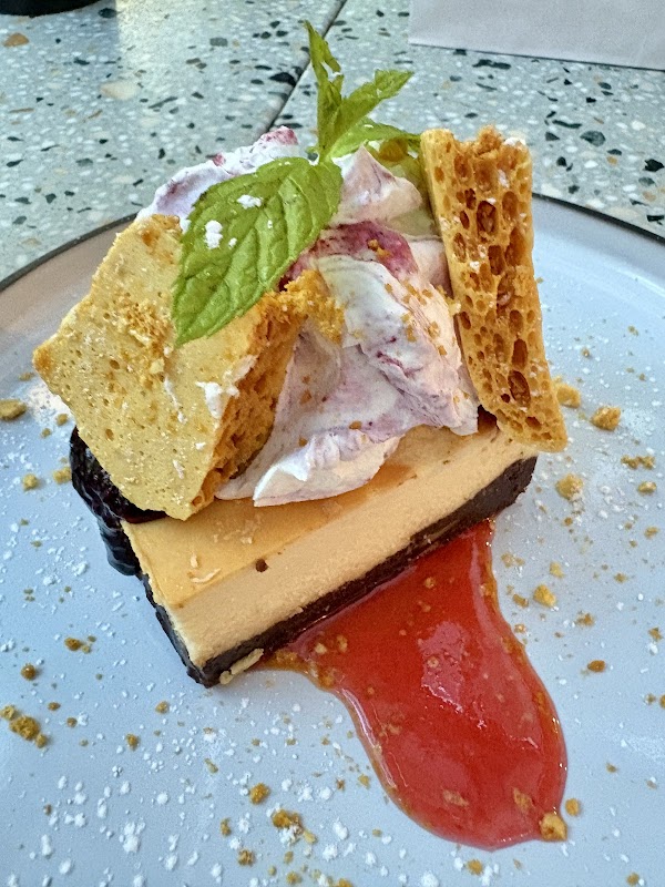 Twisted Olive & Naama’s Garden 4