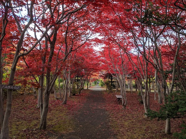 Hiraoka Tree Art Center
