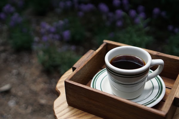 Haero Coffee 5