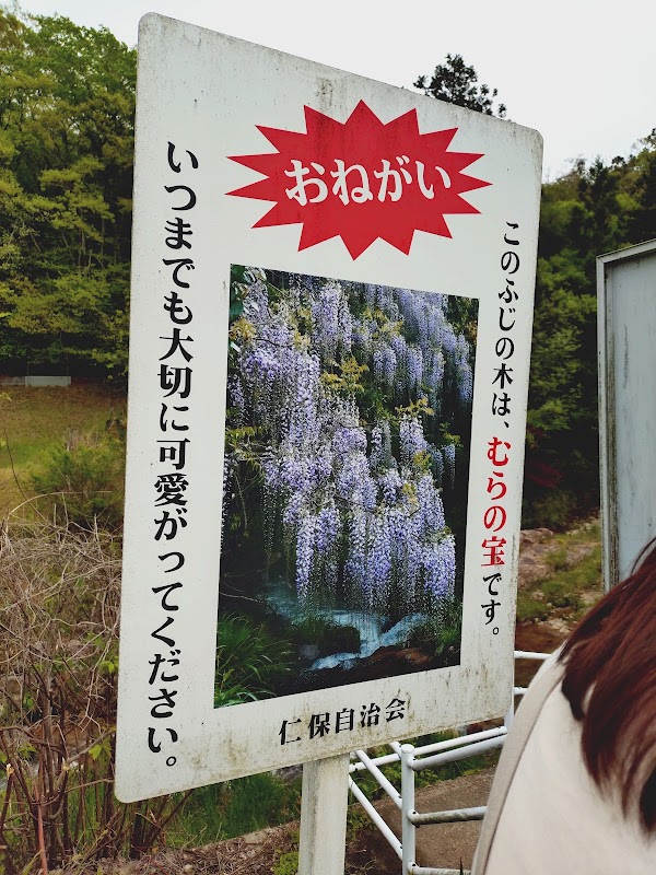 Wisteria of Ikkanno 3
