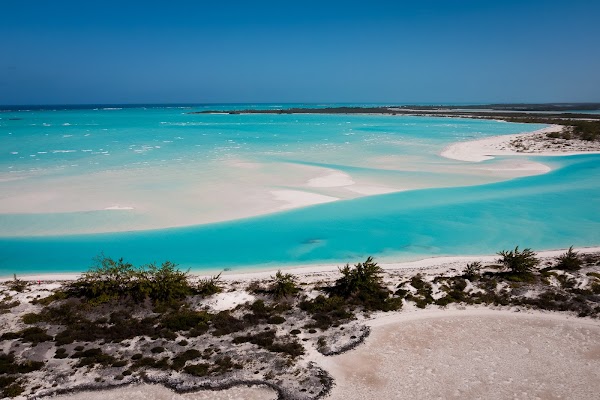 The Caribbean 12