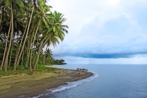 Unauna Island 1