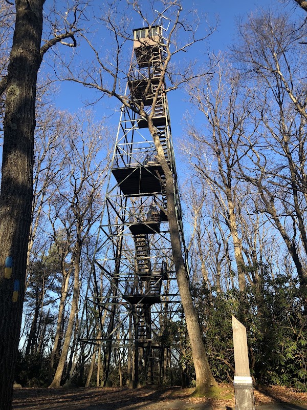 Cook Forest Tower 1