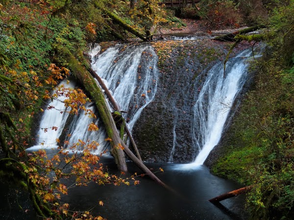 South Falls Day Use Area 3