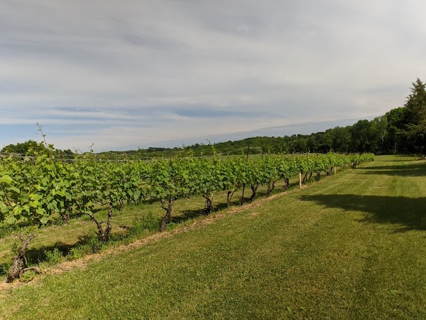 Stonington Vineyards