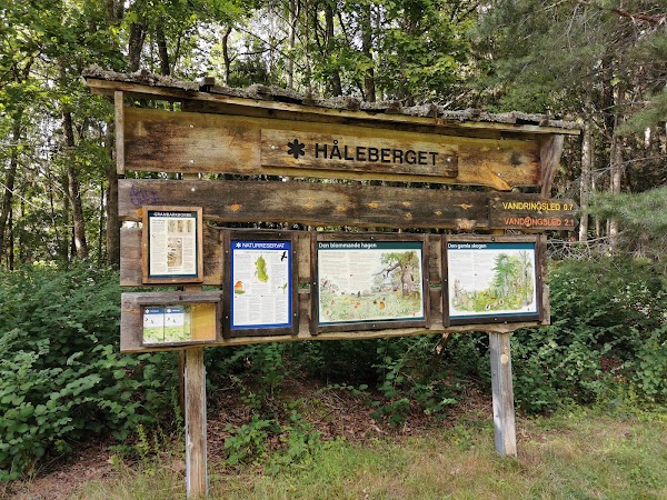 Hålebergets naturreservat