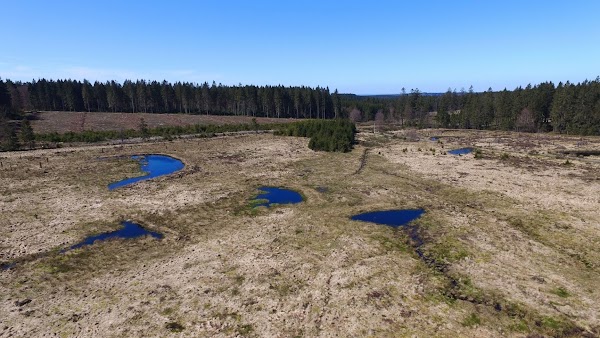 Plateau des Tailles