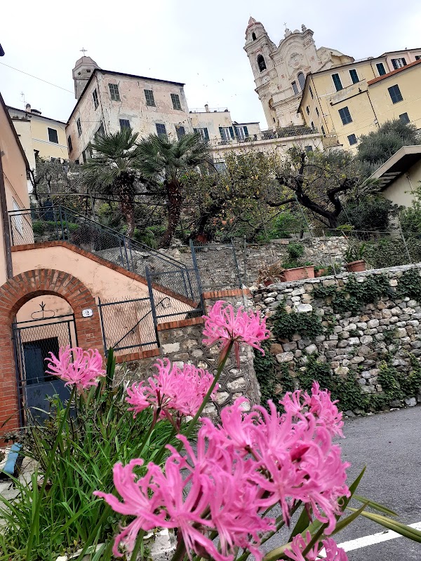 Cervo 3
