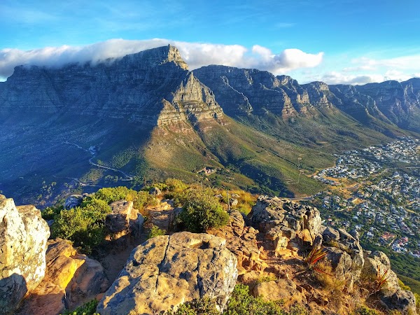 Lion's Head 5