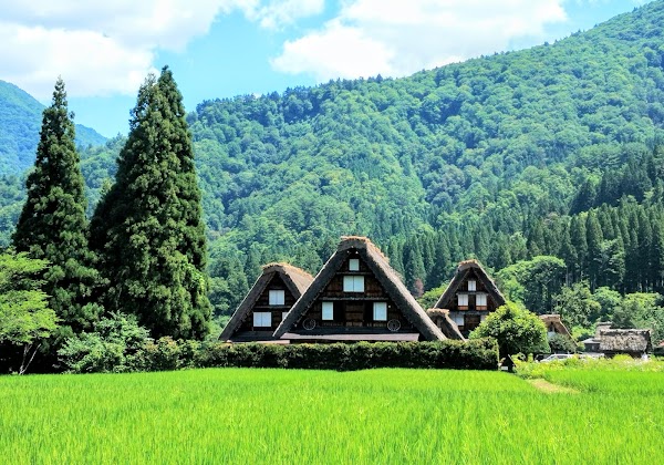 Shirakawago Three Houses 1