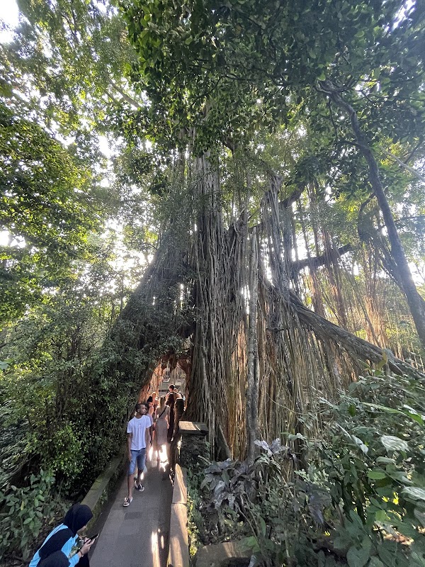 Jalan Monkey Forest 2