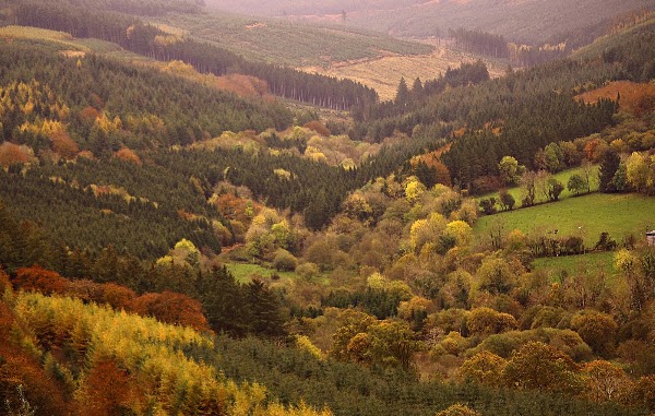 Slieve Bloom Mountains