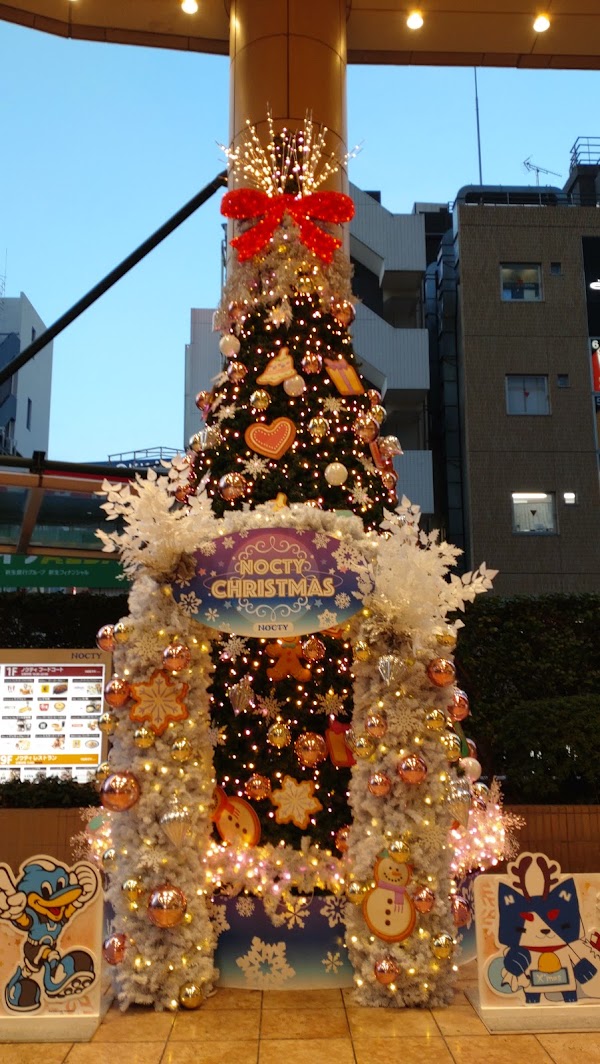 Japan 28