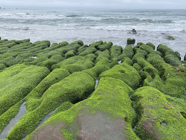Laomei Green Reef 1