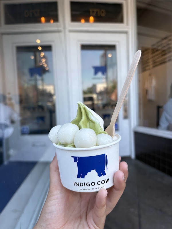 Indigo Cow 5