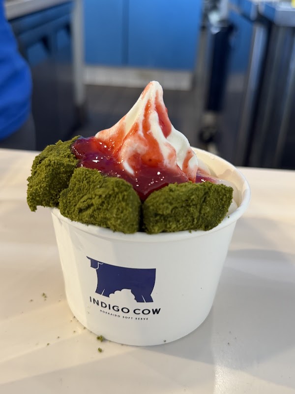 Indigo Cow 4