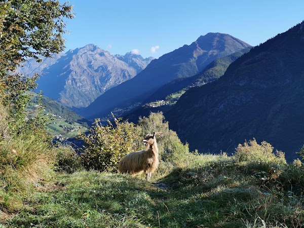 Valle Seriana 4