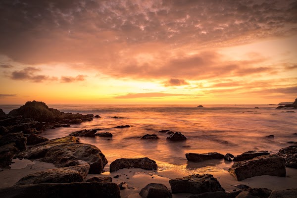 Woods Cove 3