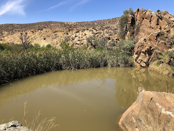 Red Banks Conservation Park Campgrounds 4