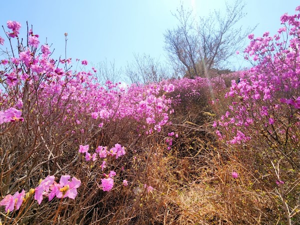 Yeongchwisan 4