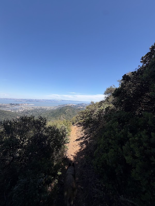Trail to mill valley 1