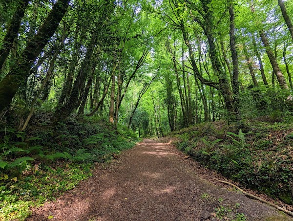 Ballysaggartmore Lodges 2