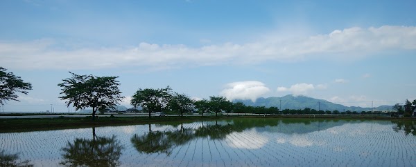 Tsubame